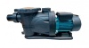 Насос для бассейна XKP1604    (380V)